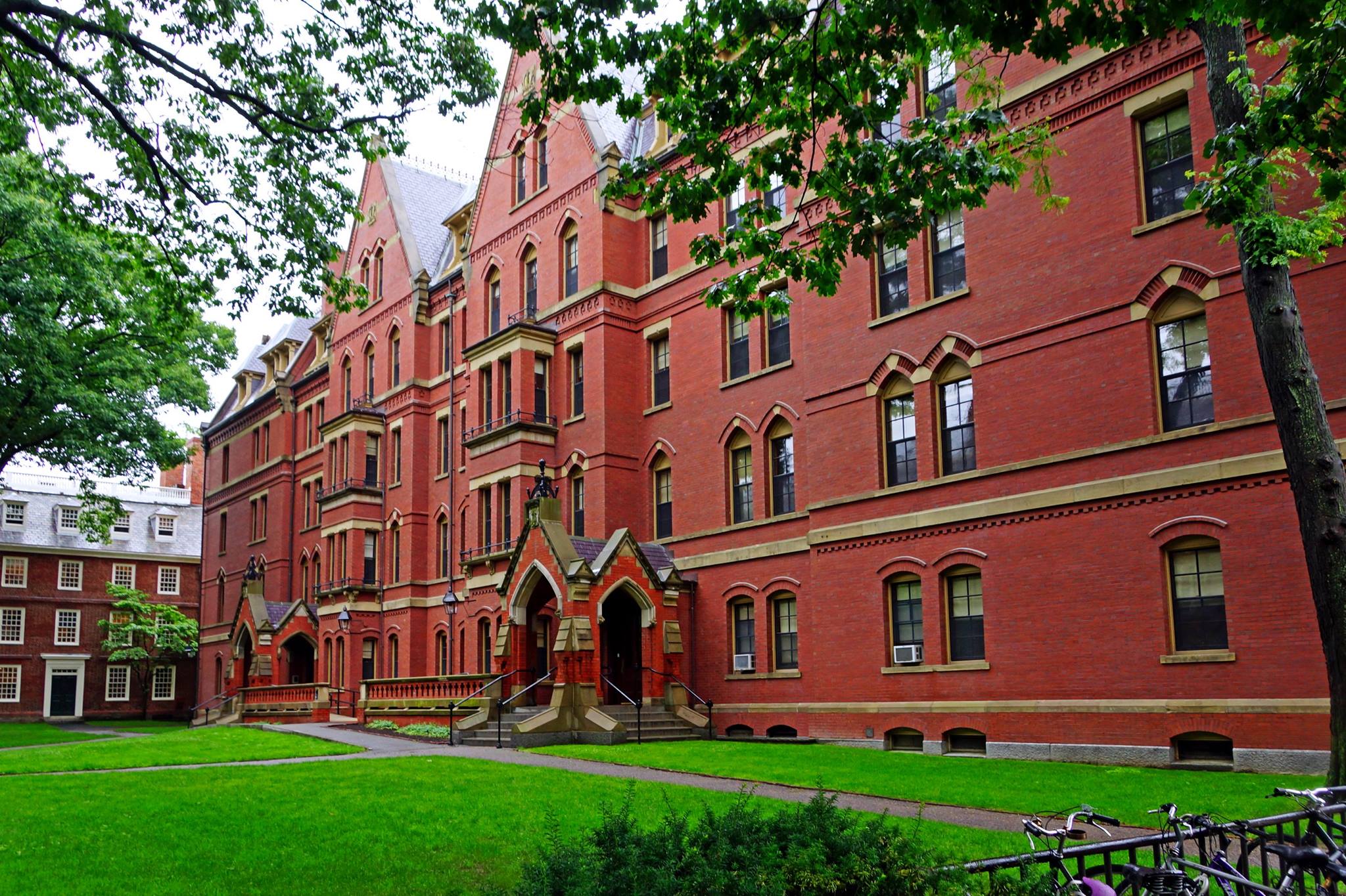 Image result for Harvard Universiteti